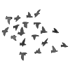 Flock