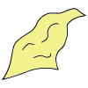 sheet