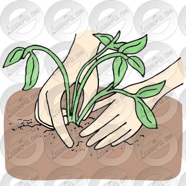 Planting