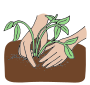 Planting  Picture
