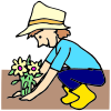 Planting