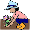 Planting