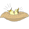 Chirp