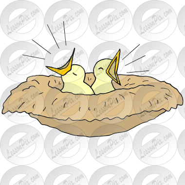 Chirp