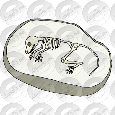 Fossil