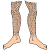 Hairy Legs