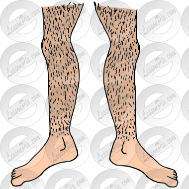 Hairy Legs  Picture