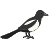 Magpie
