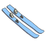 Skis