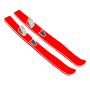 Skis