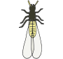Termite Picture