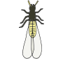 Termite