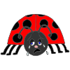Crying Ladybug