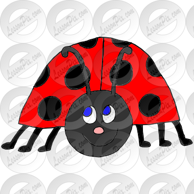 Happy Ladybug