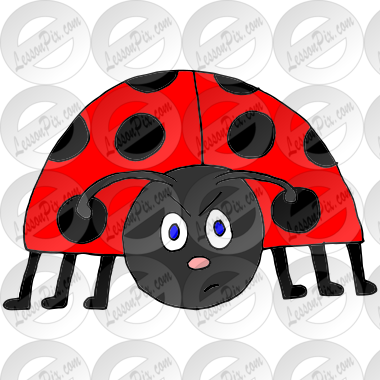 Mad Ladybug