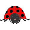 Sleepy Ladybug