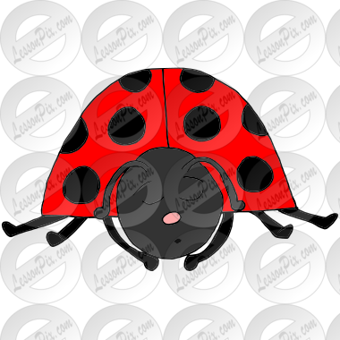 Sleepy Ladybug