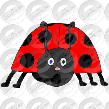 Surprised Ladybug