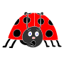 Surprised Ladybug