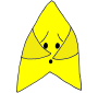 Shy Star