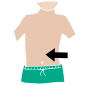 Stomach
