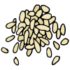 Sesame Seeds