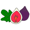 Fig