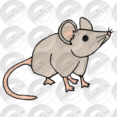 Mouse  Picture