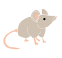 Mouse  Stencil