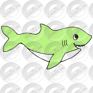 Shark