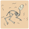 Body Fossil