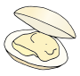 Clam