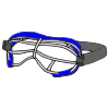 Lacrosse Goggles Picture