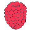 Raspberry Picture