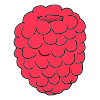 raspberries Picture