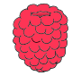 Raspberry