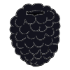 Blackberry
