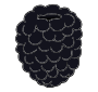 Blackberry