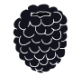 Blackberry