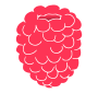 Raspberry Stencil