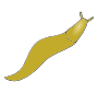 Slug  Picture