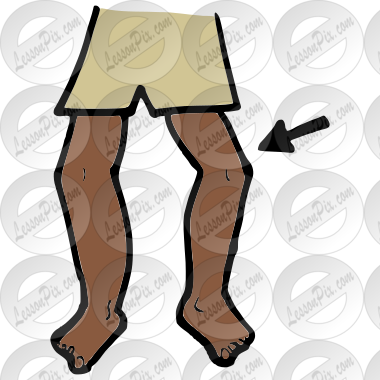 Knee