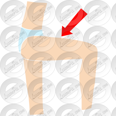Thigh