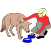 Feed Dog