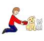 Feed Pets  Picture
