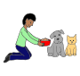 Feed Pets  Picture
