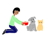Feed Pets  Stencil