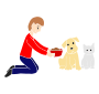 Feed Pets  Stencil
