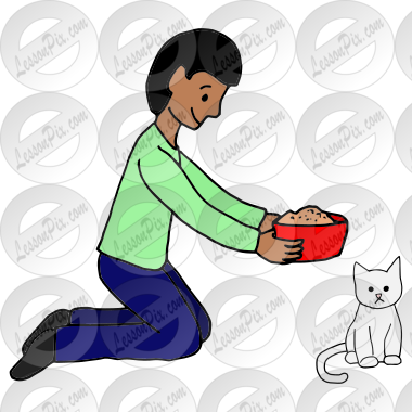 Feed Cat