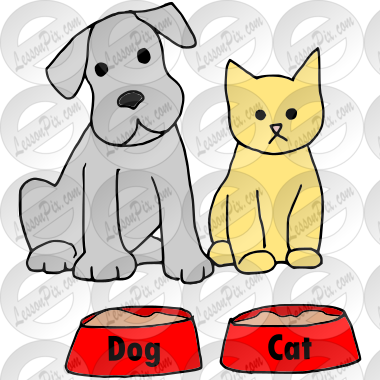 Pets  Picture